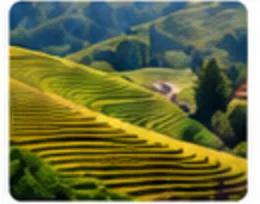 Xe ghép Văn Yên đi BV K Tân Triều